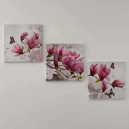 House Of Flowers Spinea Exterior foto
