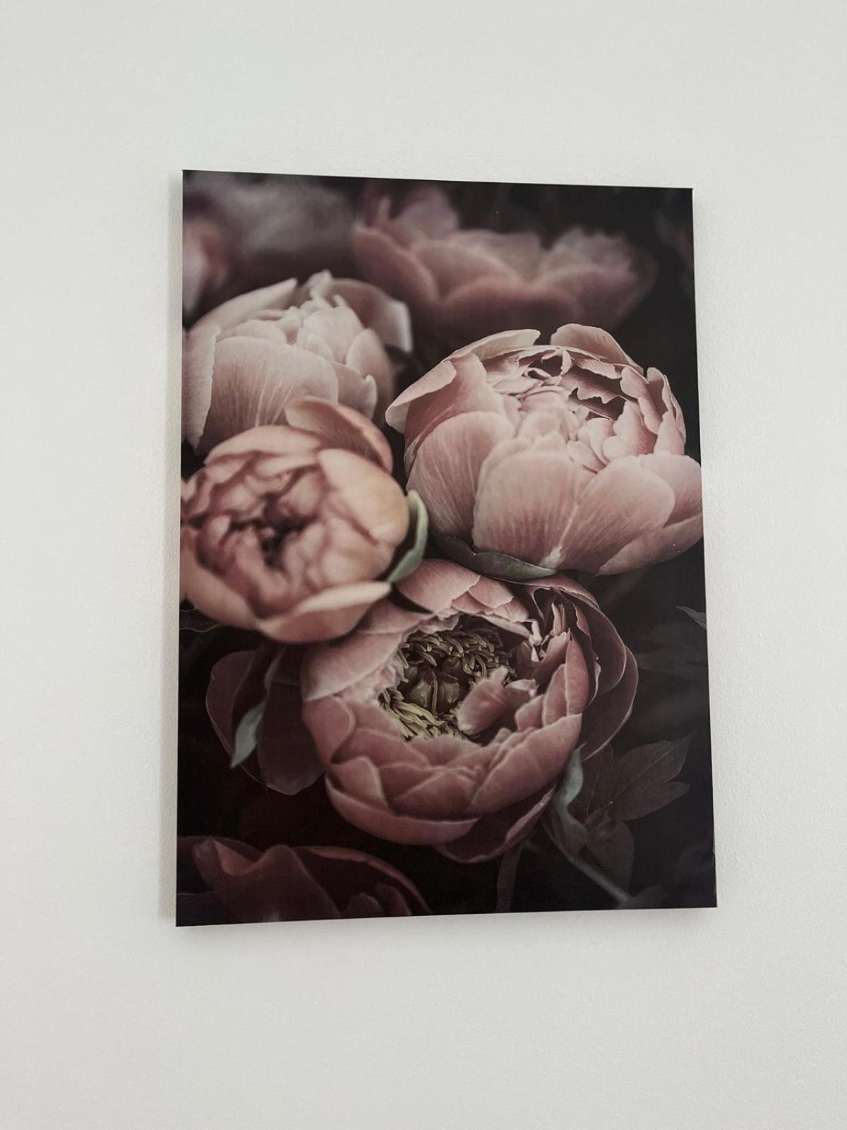 House Of Flowers